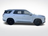New 2025 Hyundai Palisade Calligraphy image 5