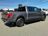 Certified 2023 Ford F150 XLT w/ Equipment Group 302A High image 4