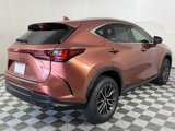 New 2026 Lexus NX 350 AWD w/ Premium Package image 3