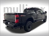 New 2025 Ford F250 Platinum image 3