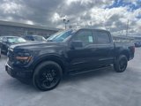 New 2025 Ford F150 STX w/ STX Black Appearance Package image 3