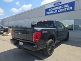 Used 2025 Ford F150 Platinum image 4