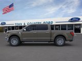 New 2025 Ford F150 XLT w/ Equipment Group 303A High image 4