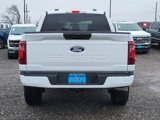 New 2025 Ford F150 STX w/ Equipment Group 200A image 5