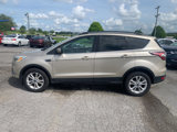 Used 2018 Ford Escape SEL image 5