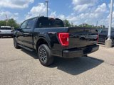 Certified 2023 Ford F150 XLT w/ Equipment Group 302A High image 6