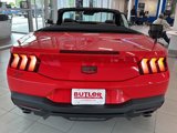 New 2025 Ford Mustang GT Premium w/ 60th Anniversary Package image 4