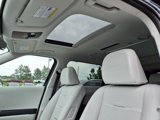 New 2026 Hyundai Palisade Calligraphy image 3