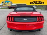 Used 2022 Ford Mustang Premium image 5