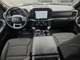 Certified 2023 Ford F150 XLT w/ Equipment Group 302A High image 2