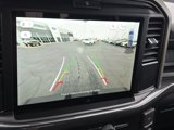 New 2025 Ford F150 STX image 3