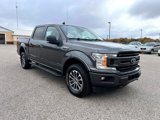 Used 2019 Ford F150 XLT w/ Equipment Group 302A Luxury image 3