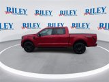 Used 2025 Ford F150 XLT w/ Equipment Group 302A MID image 6