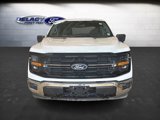 Used 2024 Ford F150 XLT image 2