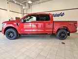 New 2025 Ford F150 XLT w/ Equipment Group 302A MID image 2