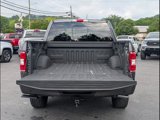 Used 2019 Ford F150 XLT w/ Equipment Group 302A Luxury image 5