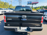 Used 2014 Ford F150 STX w/ Equipment Group 201A Mid image 4