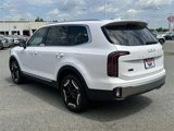 New 2025 Kia Telluride EX image 3