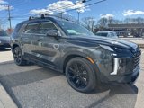 New 2025 Hyundai Palisade XRT image 5