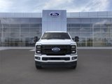 New 2025 Ford F250 Platinum image 6