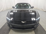 Used 2024 Ford Mustang Convertible image 2