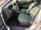 Used 2024 Kia Seltos SX w/ SX Sunroof Package image 4