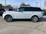 Used 2019 Land Rover Range Rover Supercharged image 5