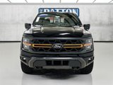 New 2025 Ford F150 Tremor image 2