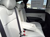 New 2025 Hyundai Tucson Limited image 6
