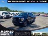 Certified 2023 Ford F150 XLT w/ Equipment Group 302A High image 4