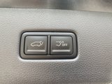 New 2025 Kia Carnival SX Prestige image 6