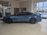 Used 2024 Ford Mustang Dark Horse image 2