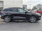 New 2025 Ford Escape ST-Line w/ Tech Pack #1 image 3