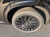 New 2025 Hyundai Palisade Calligraphy image 5