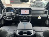 New 2025 Ford F250 Platinum image 4