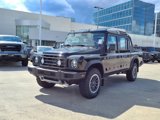New 2025 INEOS Grenadier Fieldmaster Edition image 2