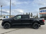 New 2025 Ford F150 XLT w/ Equipment Group 302A MID image 3