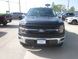 New 2025 Ford F150 XLT w/ Equipment Group 302A MID image 2