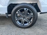 Certified 2023 Ford F150 XLT w/ Equipment Group 302A High image 2
