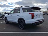 New 2025 Hyundai Palisade XRT image 3