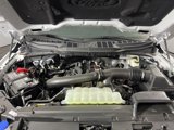 New 2025 Ford F150 XLT w/ Equipment Group 302A MID image 3