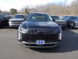 New 2025 Hyundai Palisade SEL image 2