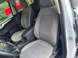 Used 2020 Ford Escape SE image 5
