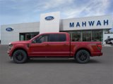 New 2025 Ford F150 XLT w/ Equipment Group 302A MID image 3