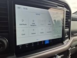 New 2025 Ford F150 XLT w/ Equipment Group 302A MID image 5
