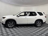 New 2025 Honda Pilot EX-L image 3