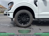 New 2025 Ford F150 XLT w/ Equipment Group 302A MID image 5