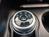 New 2025 Ford Explorer Active w/ Active Comfort Package image 6