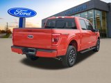 Certified 2023 Ford F150 XLT w/ Equipment Group 302A High image 3