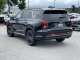 New 2025 Hyundai Palisade Calligraphy image 5